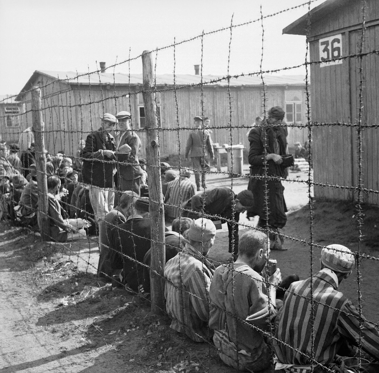Several people sit on the ground beside a barbed wire fence holding bowls and tins, some looking toward the camera.