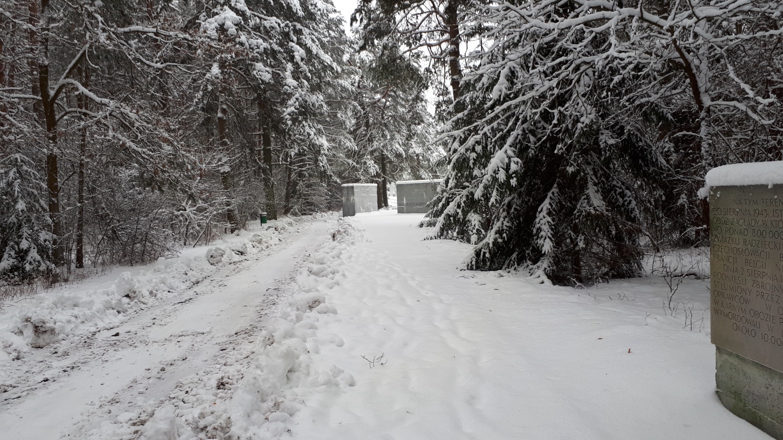 A snow-covered forest road at the Treblinka memorial in winter, with an inscribed memorial block in the right foreground and two stone blocks in the distance.