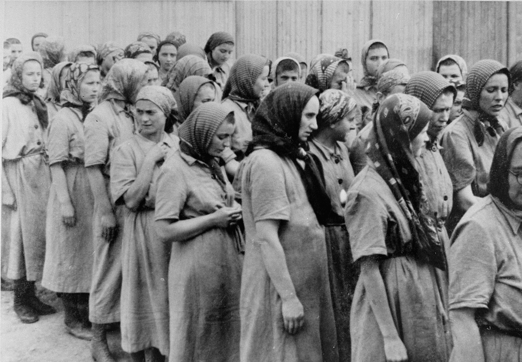 Jewish women selected for forced labor at Auschwitz-Birkenau, 1944, from the Auschwitz Album
